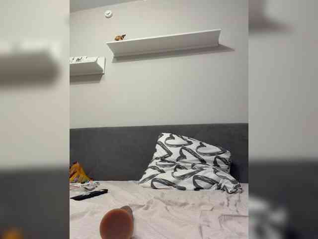 Catlive