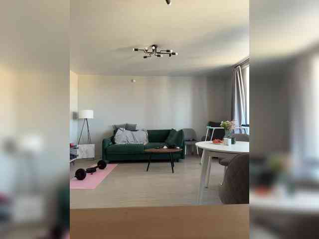 Catlive webcam