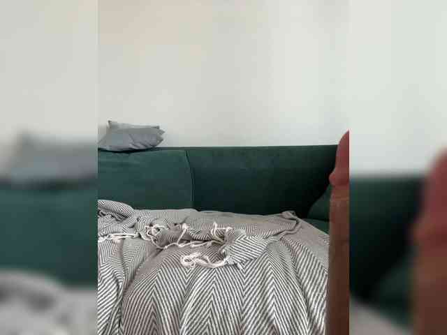 Catlive webcam
