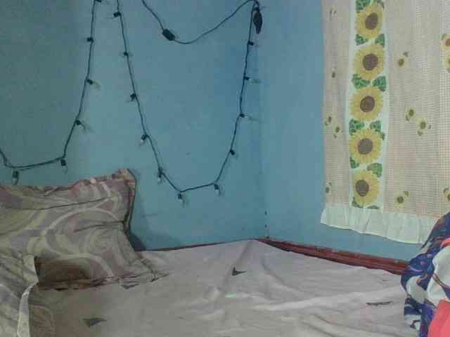 Miarizou webcam