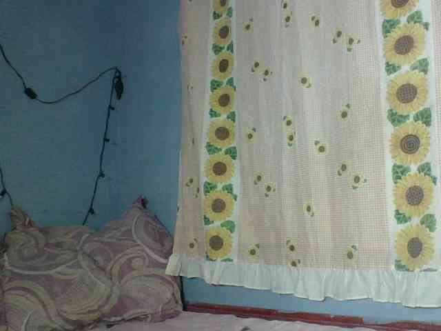 Miarizou webcam