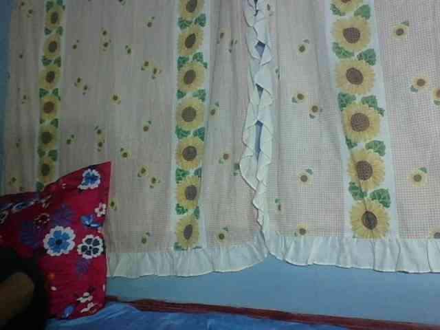 Miarizou webcam