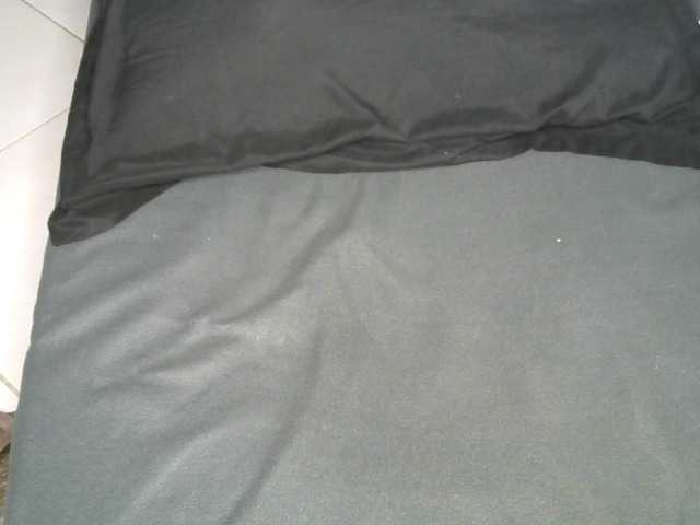 Cynne live cam on BongaCams