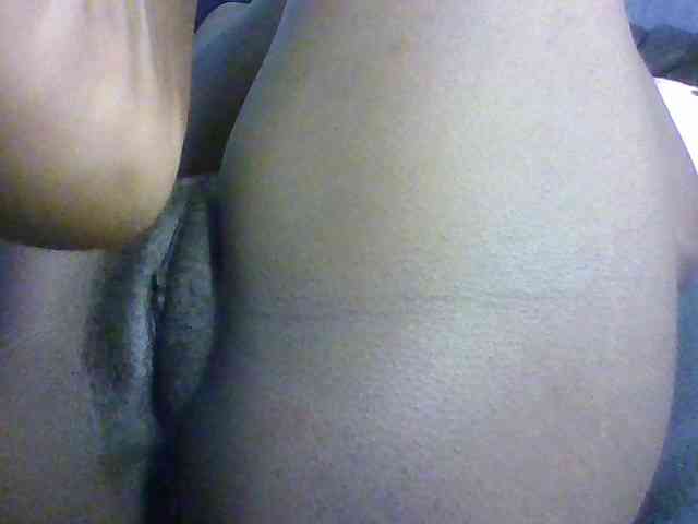 Cynne webcam