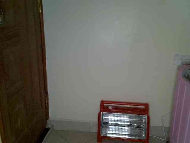 Cynne webcam