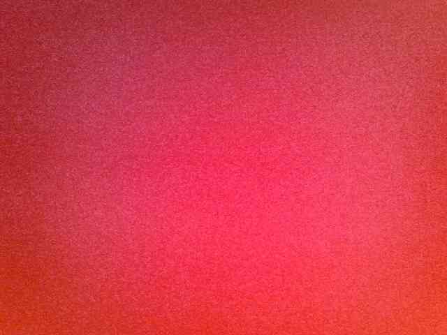Cynne webcam