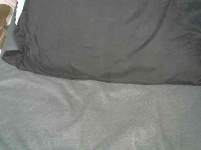 Cynne webcam