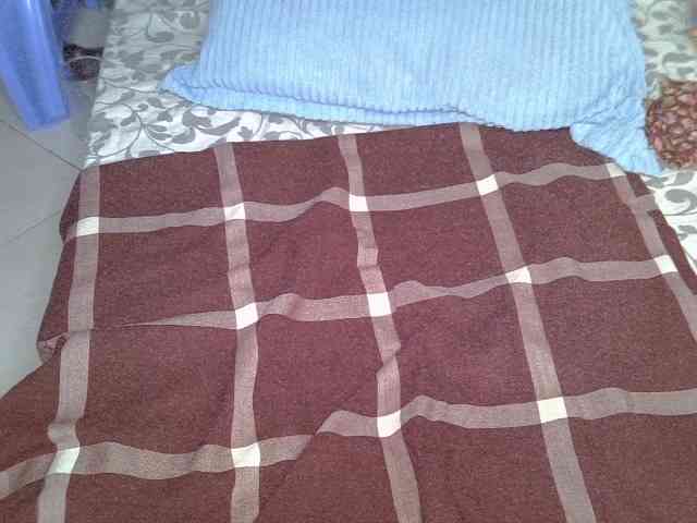 Cynne webcam