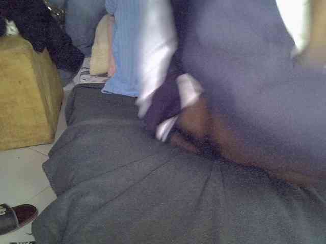 Cynne webcam