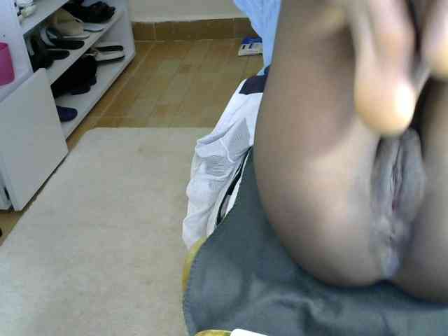 Cynne webcam