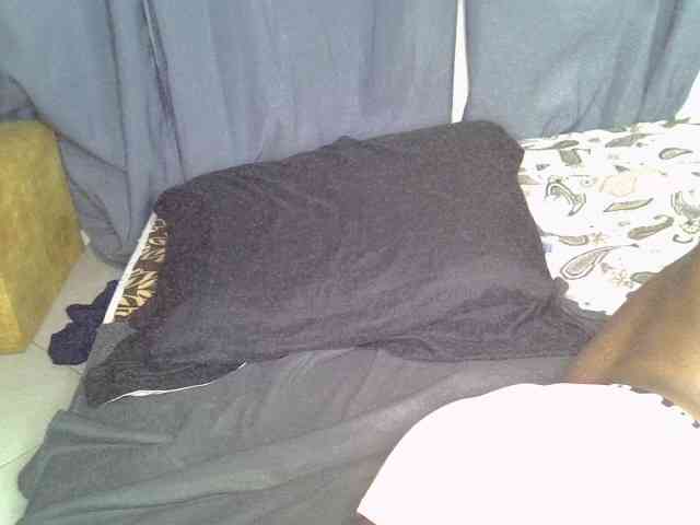 Cynne webcam