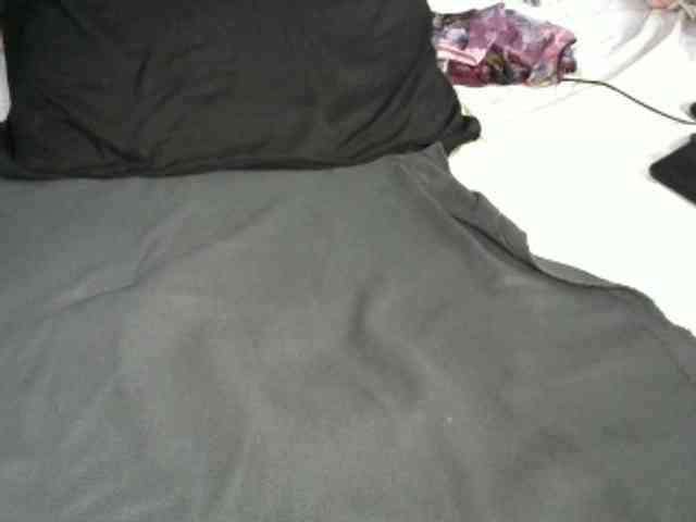 Cynne webcam