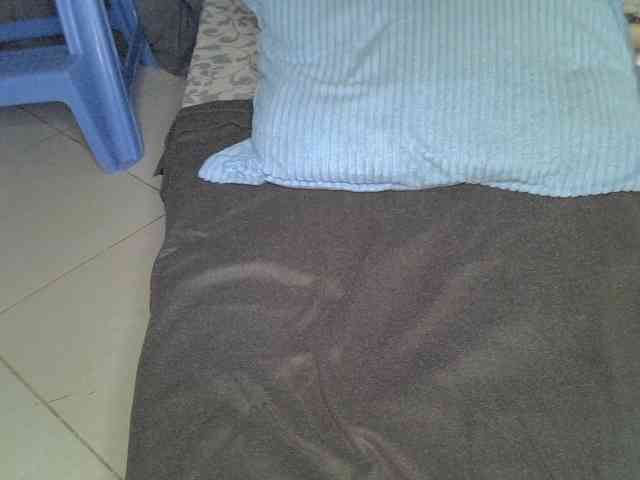 Cynne webcam
