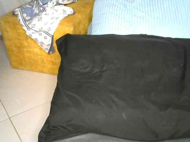 Cynne webcam