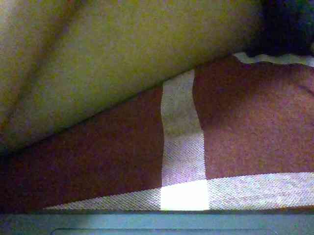 Cynne webcam