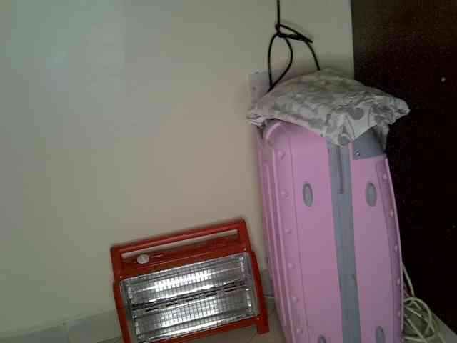 Cynne webcam