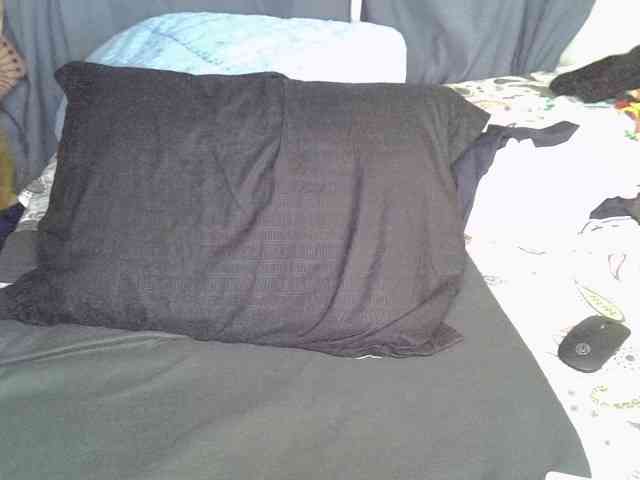 Cynne webcam