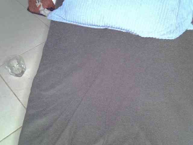 Cynne webcam