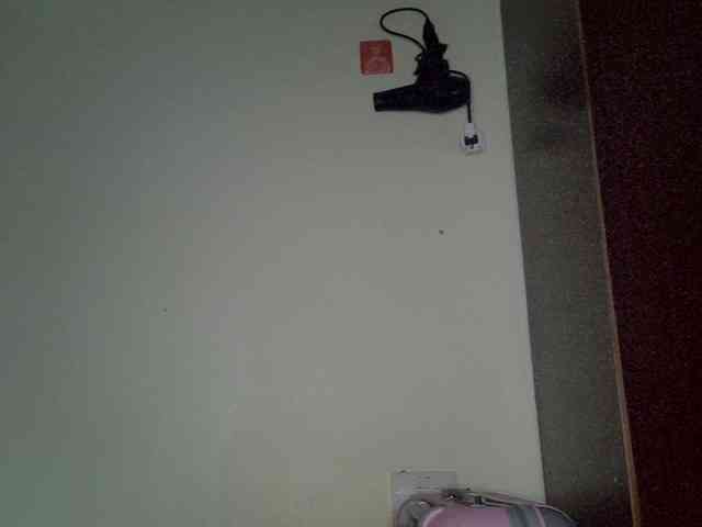 Cynne webcam
