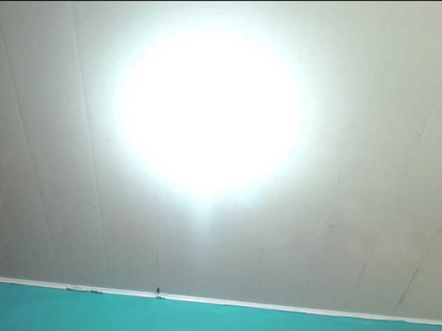 LeoAndKali live webcam show