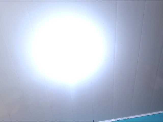 LeoAndKali