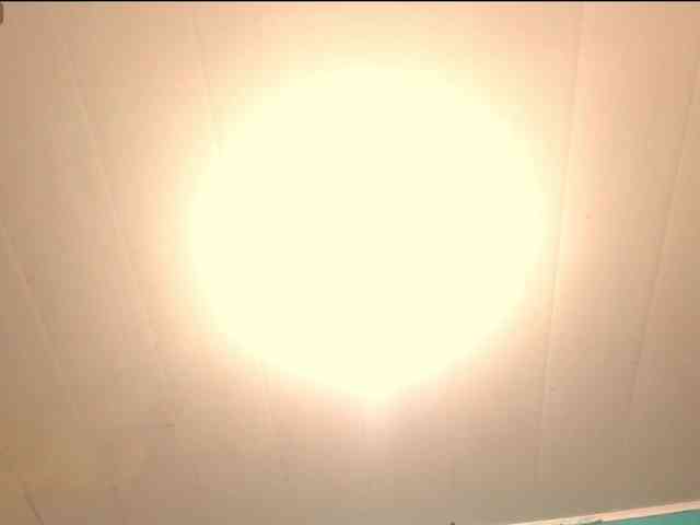 LeoAndKali webcam