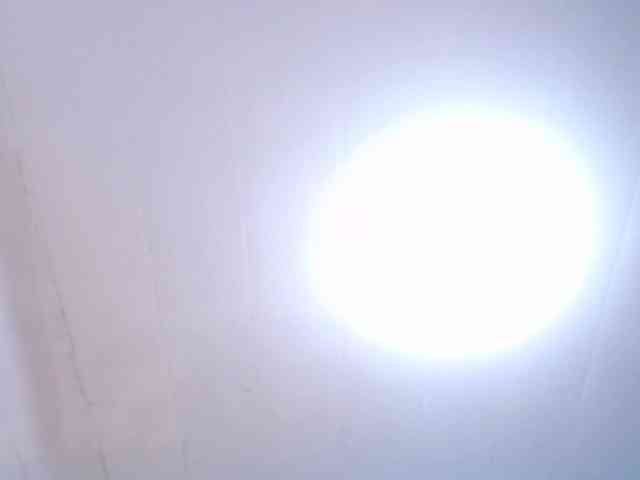 LeoAndKali webcam