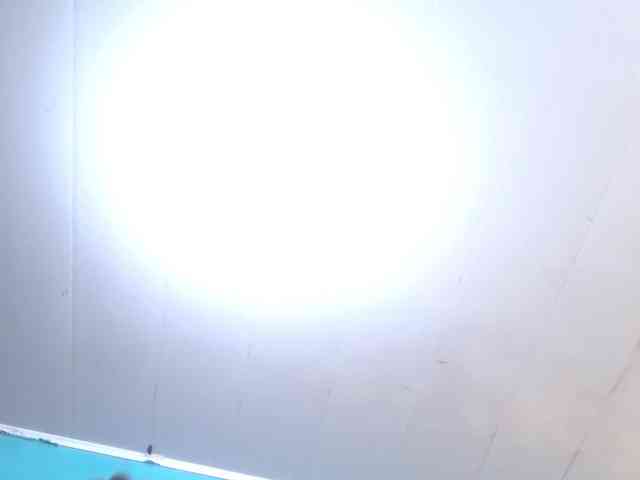 LeoAndKali webcam