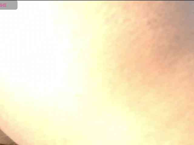 LeoAndKali webcam