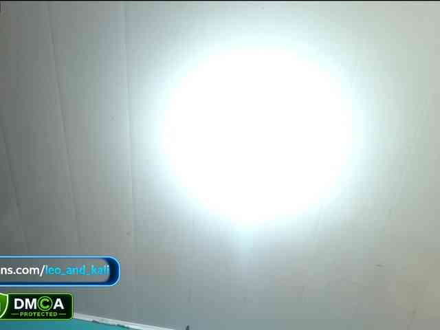 LeoAndKali webcam