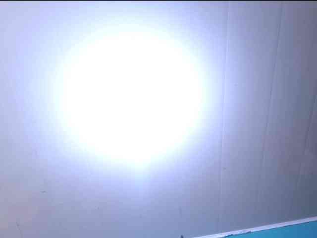 LeoAndKali webcam