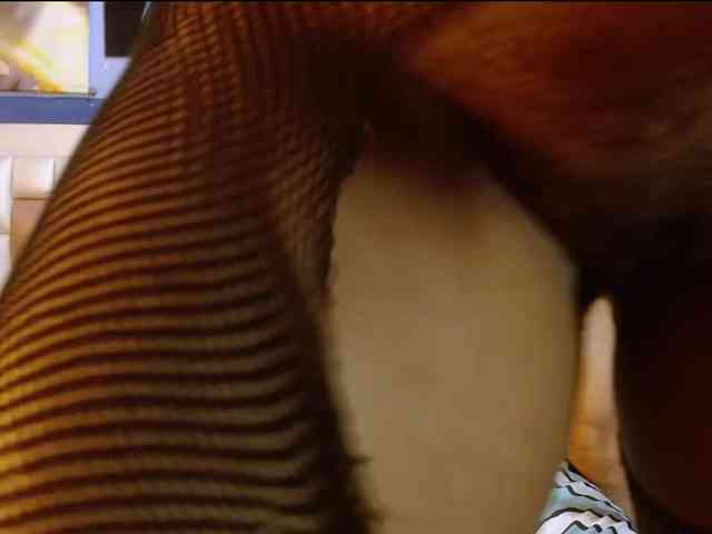 LeoAndKali webcam