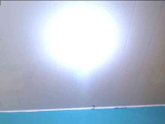LeoAndKali webcam