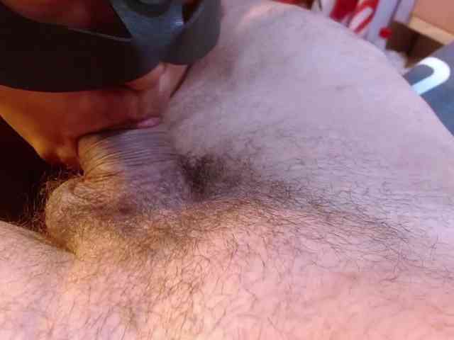 LeoAndKali webcam