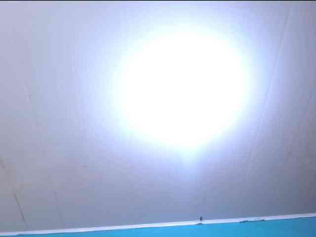 LeoAndKali webcam