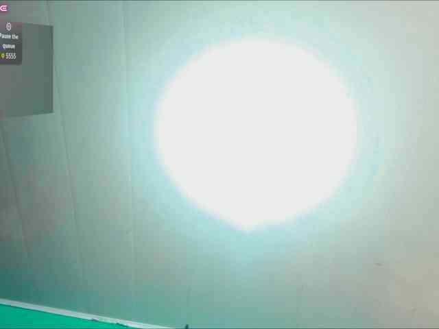 LeoAndKali webcam