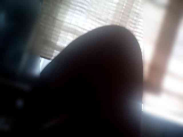 LisaXR webcam