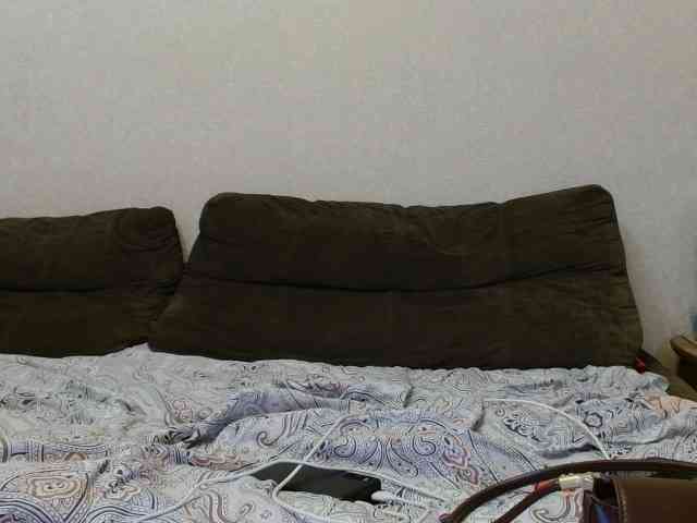 Pozhestche webcam