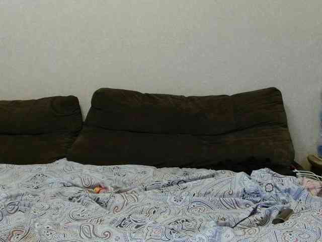 Pozhestche webcam