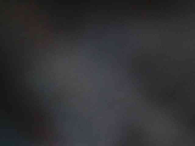Pozhestche webcam