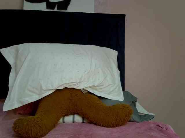 PrettyBambi webcam
