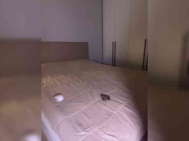 _Luna_ webcam