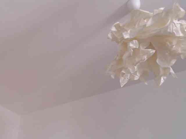 LelaRyann webcam