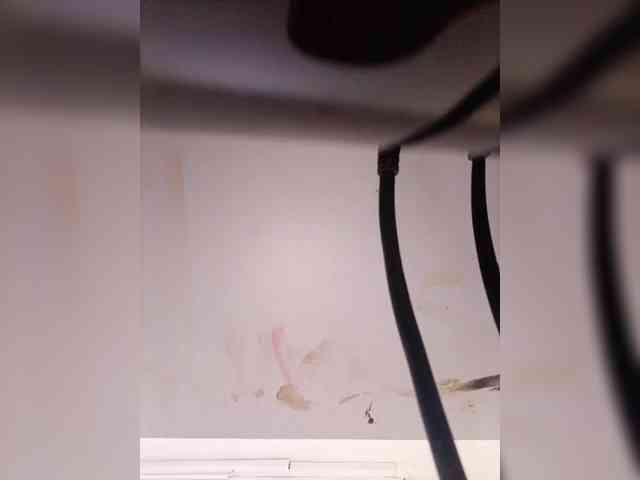 ElizHarper webcam