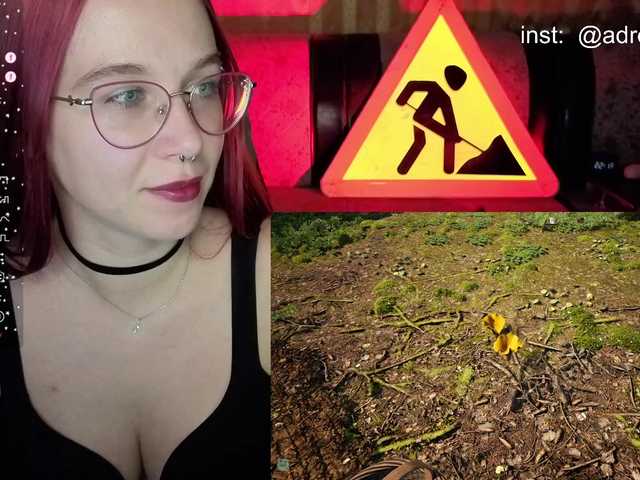 adrenalinse live cam on BongaCams