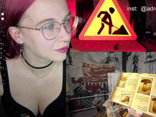 Kushina webcam