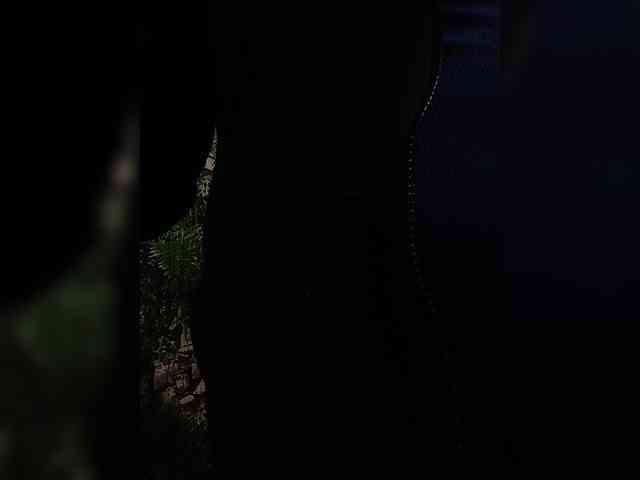 Natali251 webcam