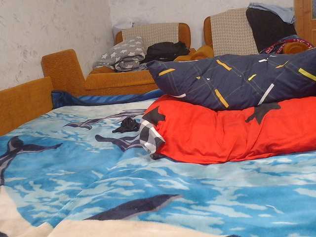 SexPara696969 live cam on BongaCams