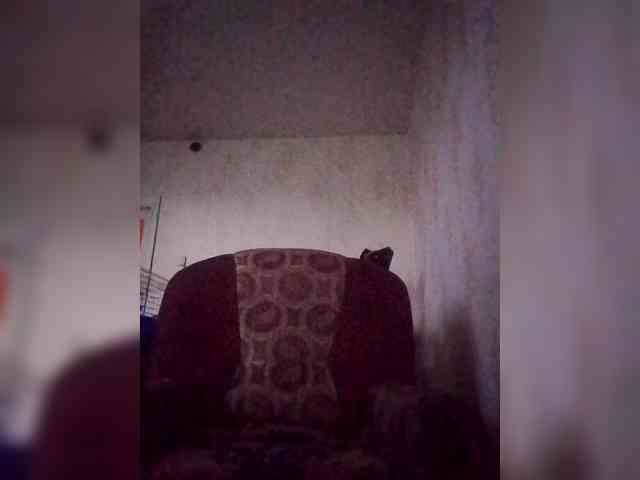 Sasha-69-1 webcam