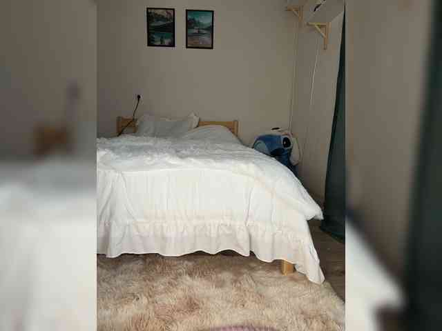 shottup webcam